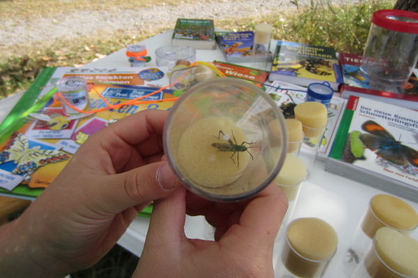 img-bb-sommer-2012-03.jpg